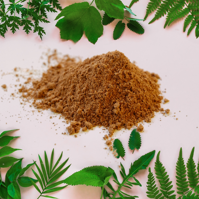 Costus indien - 25g