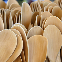 5 cuillères en bois petit format